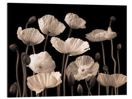 Gallery print Poppies