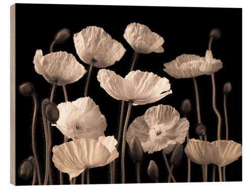 Wood print Poppies