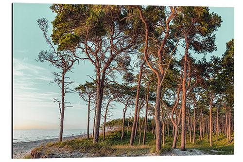 Aluminiumsbilde In the evening on the west beach