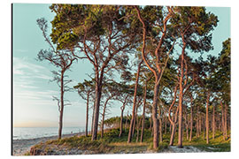 Tableau en aluminium In the evening on the west beach