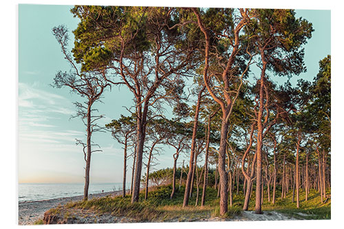 Foam board print In the evening on the west beach