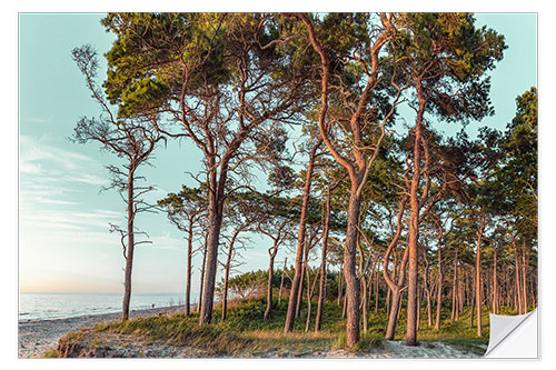 Selvklebende plakat In the evening on the west beach