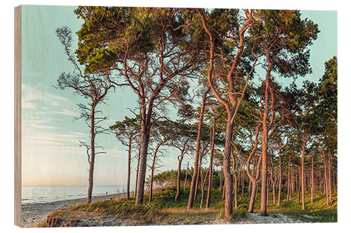 Trebilde In the evening on the west beach