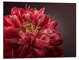 Magnettafel Pfingstrose, Detail