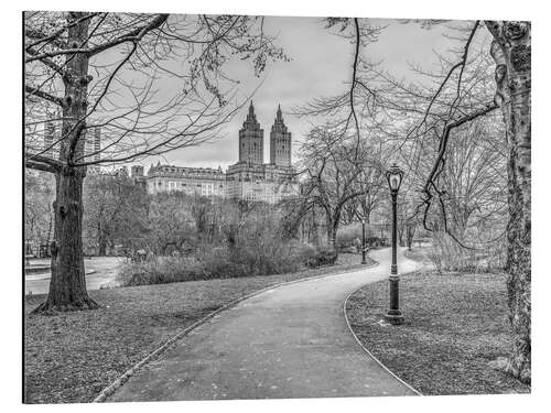 Aluminium print Central Park, b/w