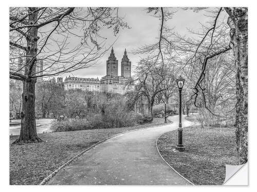 Selvklebende plakat Central Park, b/w