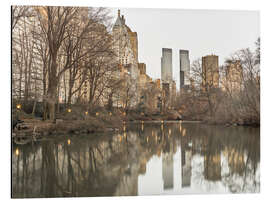 Tableau en aluminium New York Central Park