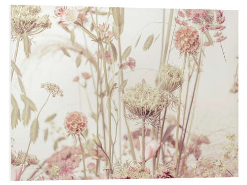 Foam board print My beautiful meadow flowers