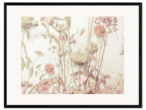 Kehystetty taidepainatus My beautiful meadow flowers