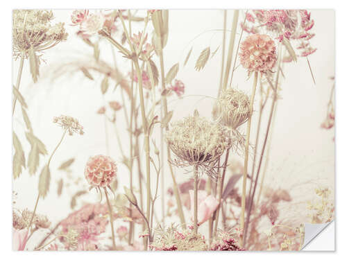 Wall sticker My beautiful meadow flowers