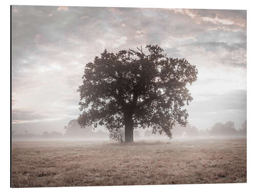 Obraz na aluminium Misty Tree