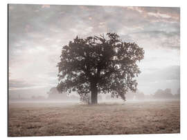 Tableau en aluminium Misty Tree