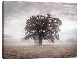 Tableau sur toile Misty Tree