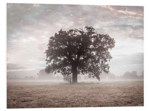 Foam board print Misty Tree