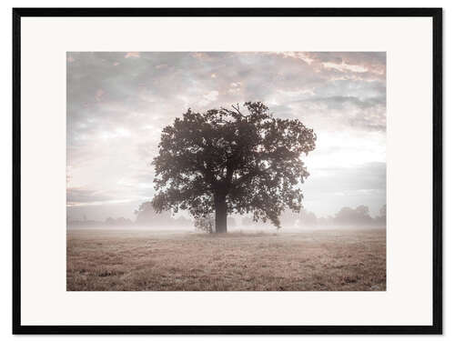 Ingelijste kunstdruk Misty Tree