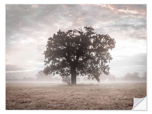 Självhäftande poster Misty Tree