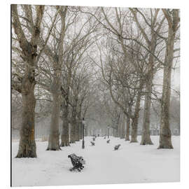 Tableau en aluminium Green Park in Winter