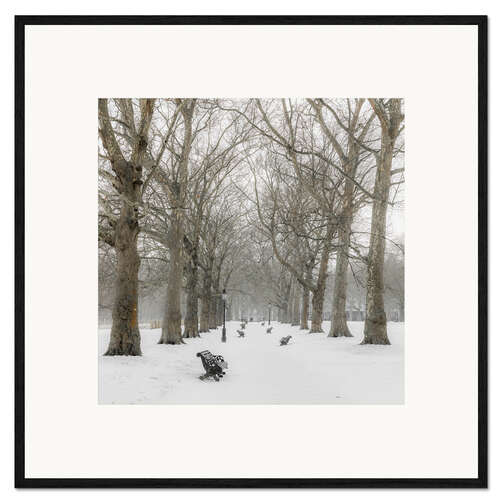 Impresión de arte enmarcada Green Park in Winter