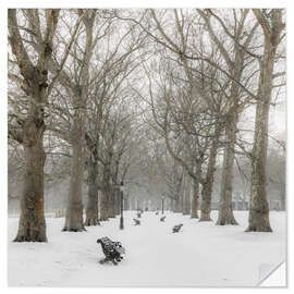 Självhäftande poster Green Park in Winter