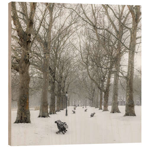 Quadro de madeira Green Park in Winter