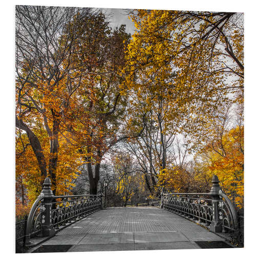 Foam board print Autumn in Central Park