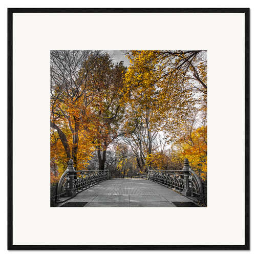 Kehystetty taidepainatus Autumn in Central Park