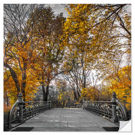 Selvklebende plakat Autumn in Central Park