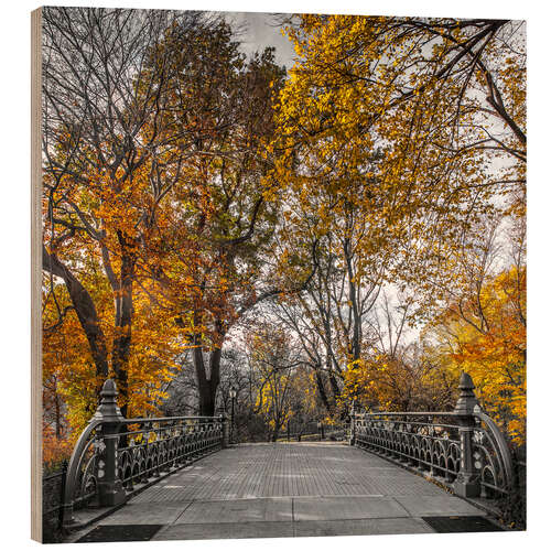 Quadro de madeira Autumn in Central Park