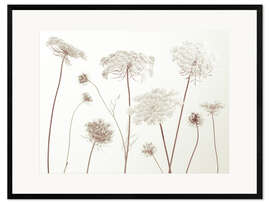 Kehystetty taidepainatus Cow Parsley