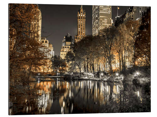 Gallery print Central park at Night