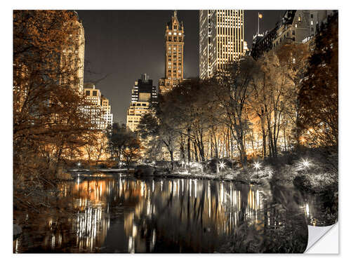 Naklejka na ścianę Central park at Night