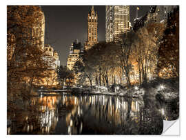 Vinilo para la pared Central park at Night