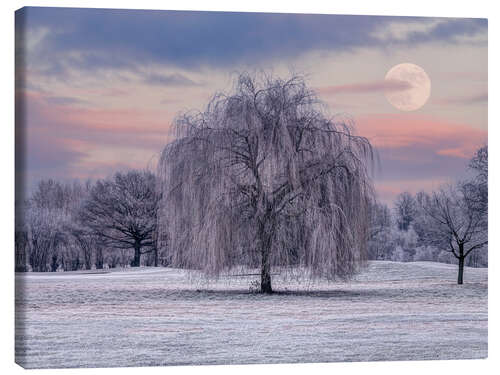 Leinwandbild Verschneiter Baum