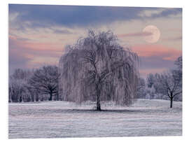 Hartschaumbild Verschneiter Baum