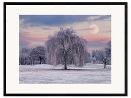 Gerahmter Kunstdruck Verschneiter Baum