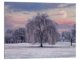 Gallery Print Verschneiter Baum