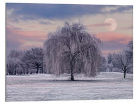 Magnettafel Verschneiter Baum