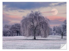 Wandsticker Verschneiter Baum