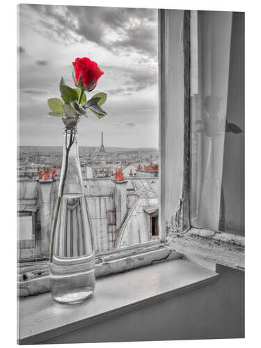 Acrylglas print Rose on the window in Paris