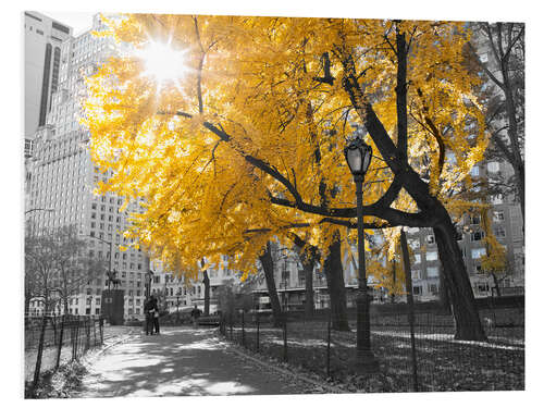 PVC-tavla Yellow tree in New York I