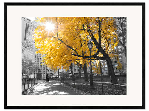 Framed art print Yellow tree in New York I