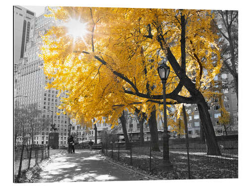 Galleritryck Yellow tree in New York I