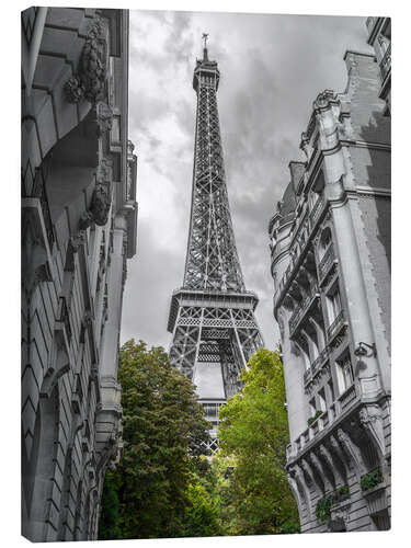 Leinwandbild Grüne Bäume und der Eiffelturm