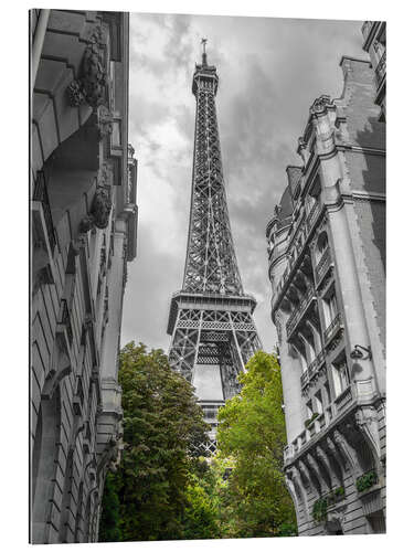 Tableau en plexi-alu Green trees and the Eiffel Tower