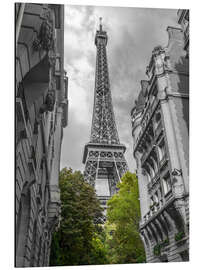 Magnettafel Grüne Bäume und der Eiffelturm