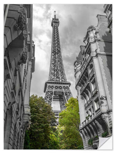 Sticker mural Green trees and the Eiffel Tower