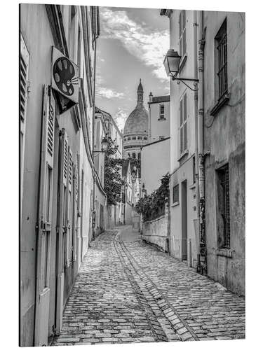 Aluminium print Paris lane