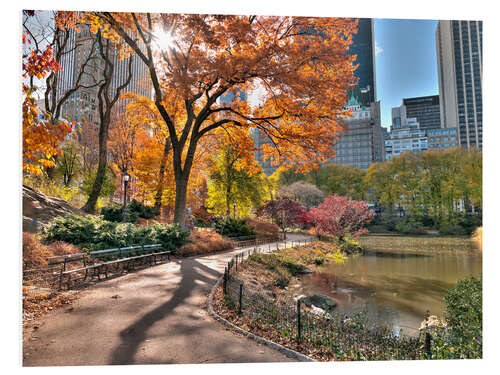 Foam board print Central park