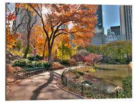 Magnettafel Zentralpark
