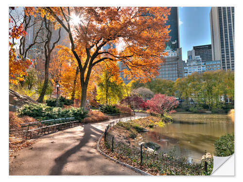 Naklejka na ścianę Central park